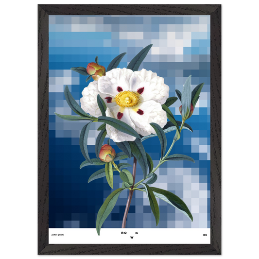 07a74f9a-cfaa-4fb9-a5e4-5f5593fded96